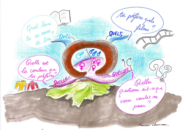 Adjectif interrogatif et exclamatif quel adjectif quel